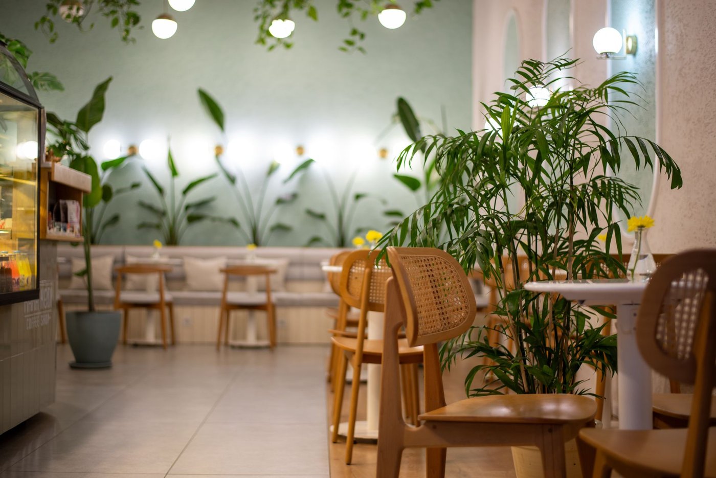 Cafe bitki dekorasyonu ile mekanınıza doğal bir dokunuş katın, yeşil alanlar yaratarak müşterilerinize huzurlu ve estetik bir ortam sunun ve ambiyansı yükseltin.: Cafe dekorasyon örneği